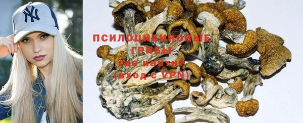 дмт Беломорск