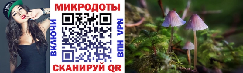 Галлюциногенные грибы Cubensis  где найти   Ставрополь 